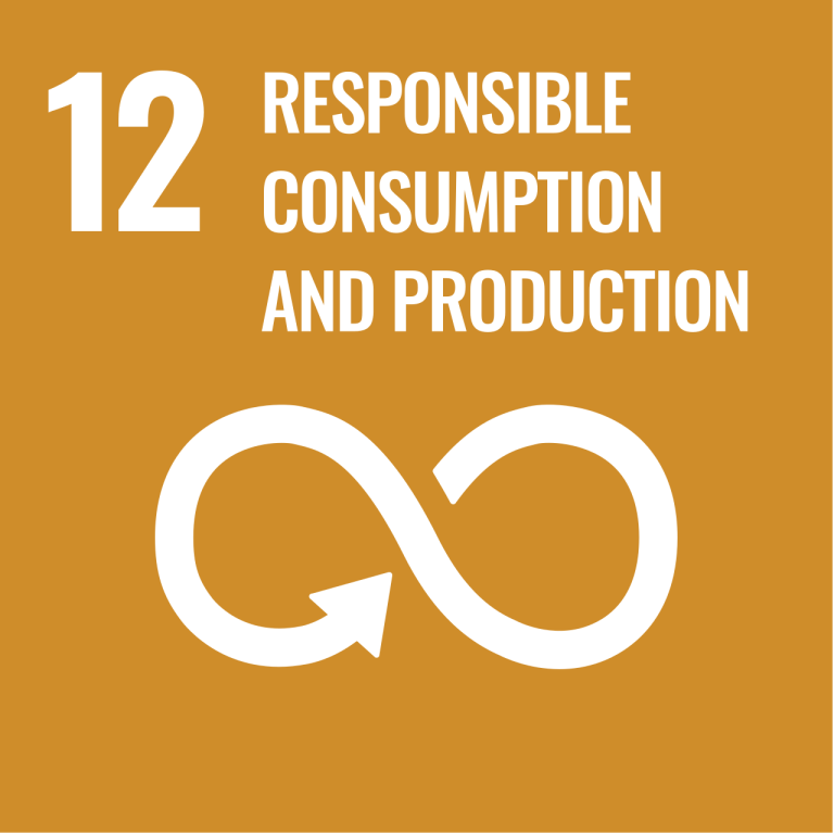 Sustainable_Development_Goal_12ResponsibleConsumption