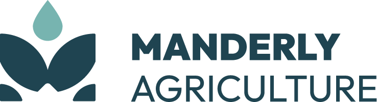 an abstract plant on the left side and the name on the right side