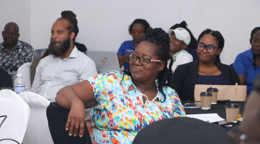 Jamaica Workshop 3